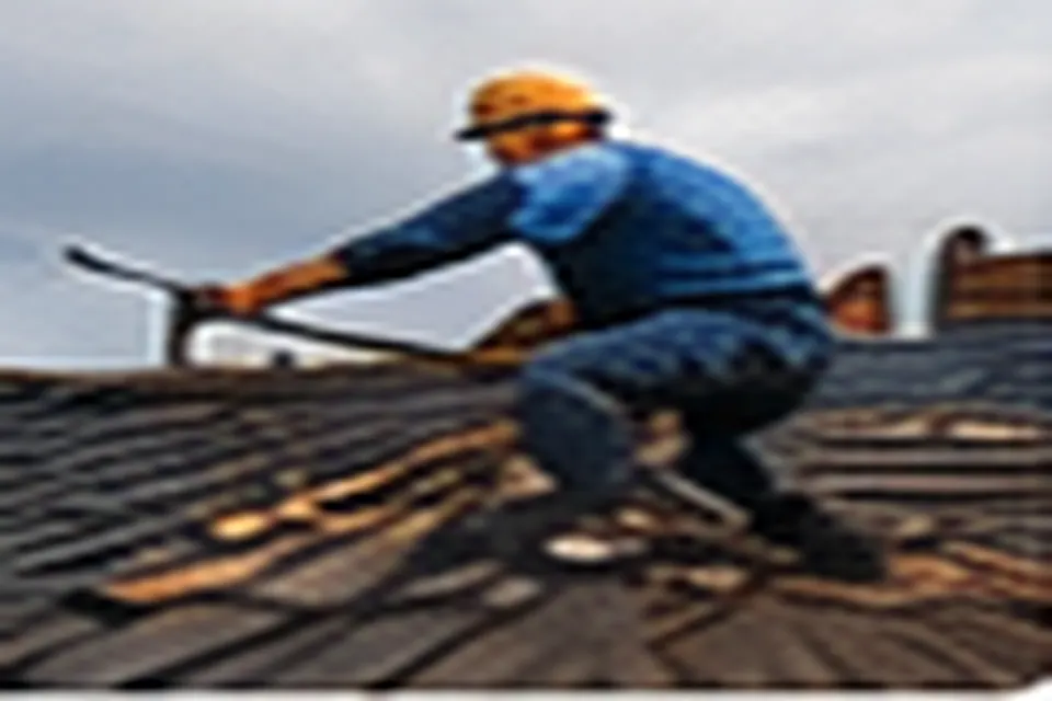 Inspection professionnelle d'une toiture