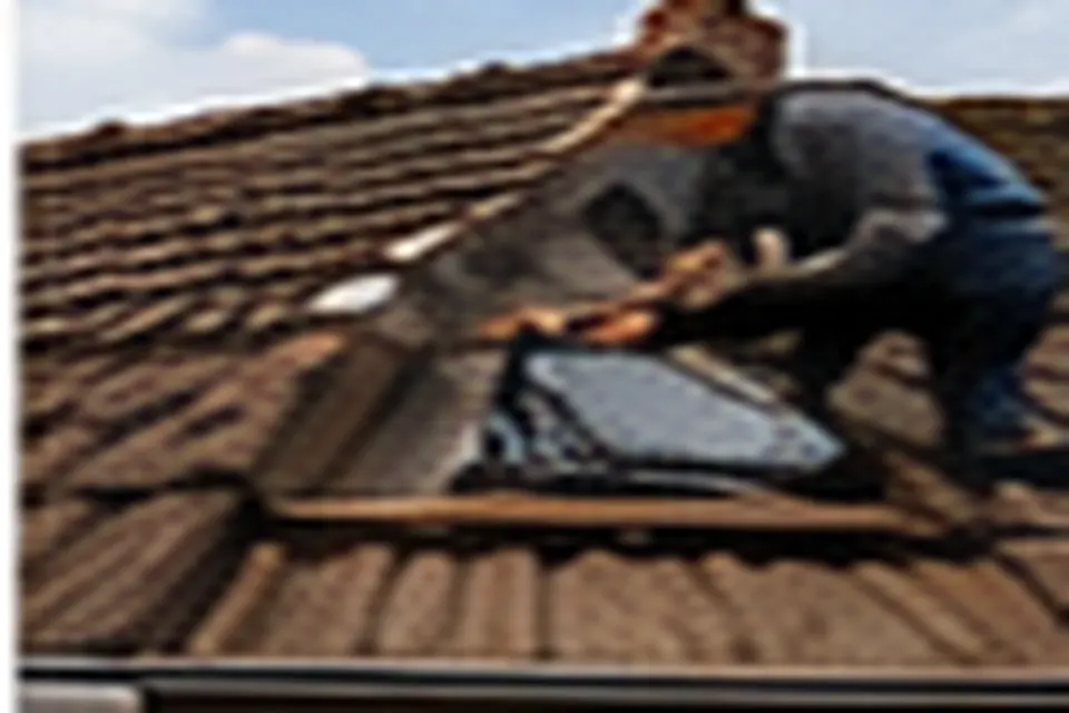 Maison avec toiture rénovée